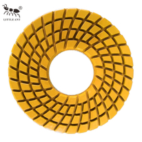 LITTLE ANT 250mm 10inch Resin Floor Polishing Pad Spiral for Power Tool Granite Marble Terrazzo Quartz