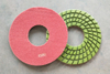 LITTLE ANT 10inch 250mm Resin Floor Polishing Pad Spiral for Power Tool Granite Marble Terrazzo Quartz