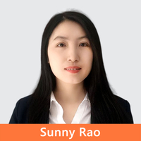 Europe Sales Manager