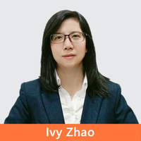 Africa Sales Manager