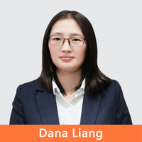 Africa Sales Manager