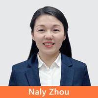 Africa Sales Manager